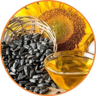 Sunflower oil icon